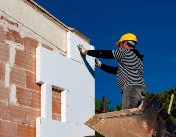 Best Specialized Insulation Services in Townsend, DE