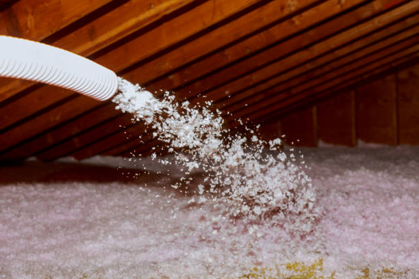 Best DIY Insulation Kits and Guidance in Townsend, DE