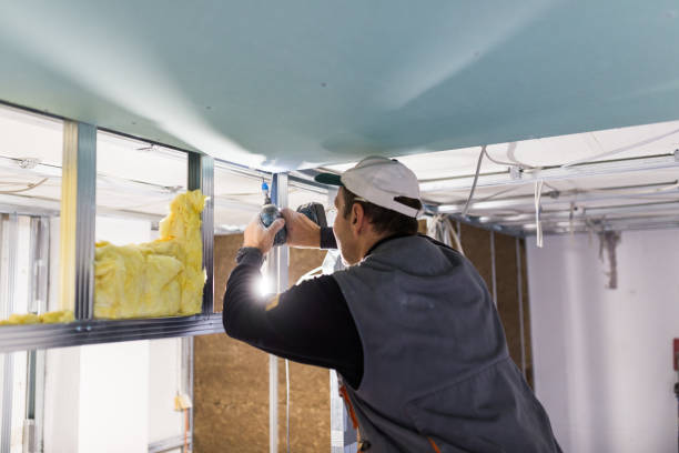Best Residential Insulation in Townsend, DE