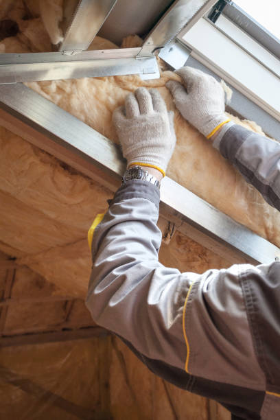 Best Spray Foam Insulation in Townsend, DE