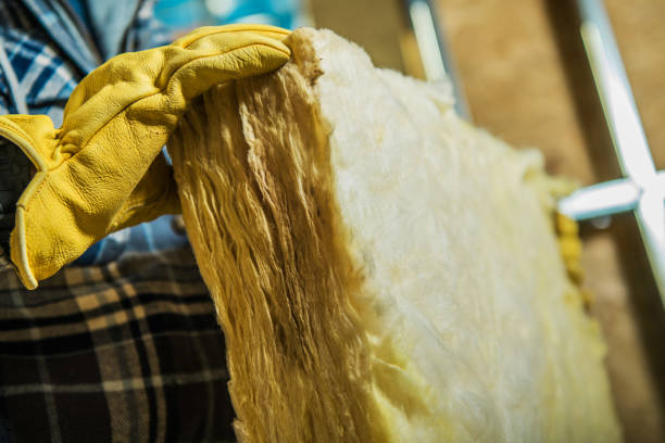 Best Blown-in Insulation in Townsend, DE
