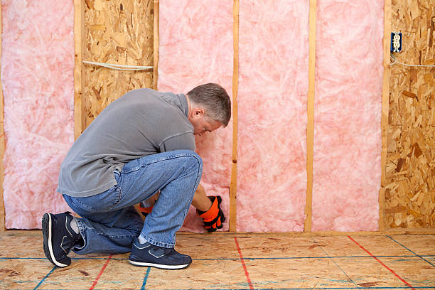 Best Blown-in Insulation in Townsend, DE