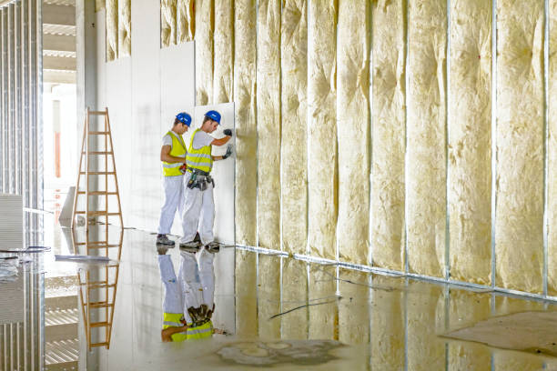 Professional Insulation Contractor in Townsend, DE